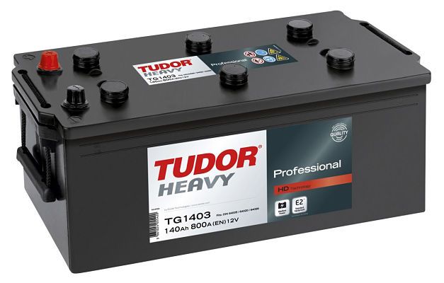 Tudor tung professionell